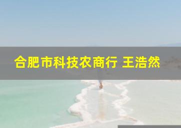 合肥市科技农商行 王浩然